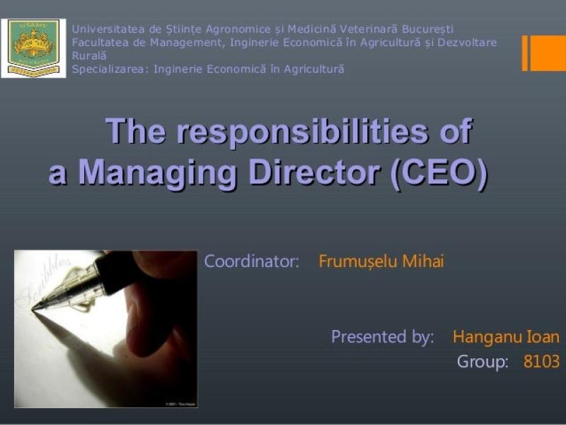 7 Key Marketing Director Duties & Responsibilities Explained