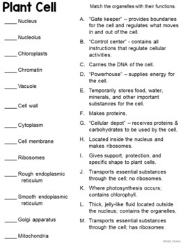 Parts of the Cell Matching: A Quick Guide